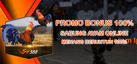 BONUS SABUNG AYAM 7X WIN 100% - HUNIAN138