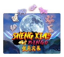 Sheng Xiao Bingo - HUNIAN138