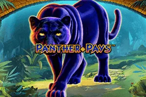 Panther Pays - HUNIAN138