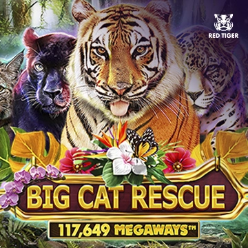 Big Cat Rescue Megaways - HUNIAN138