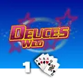 Deuces Wild 1 Hand - HUNIAN138