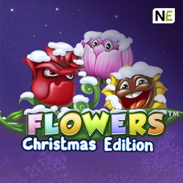 Flowers Christmas Edition - HUNIAN138