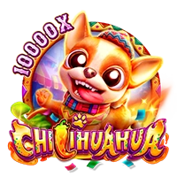 Facai : CHILIHUAHUA - HUNIAN138