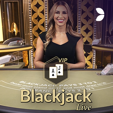 Platinum Private Blackjack 12 - HUNIAN138