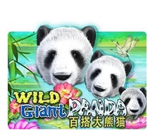 Joker123 : Wild Giant Panda - HUNIAN138
