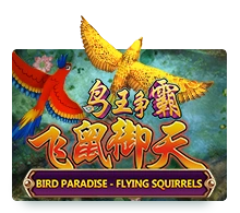 Bird Paradise - HUNIAN138