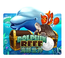 Joker123 : Dolphin Reef - HUNIAN138