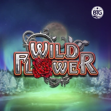 Bigtime : Wild Flower - HUNIAN138