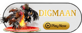 Digman - HUNIAN138